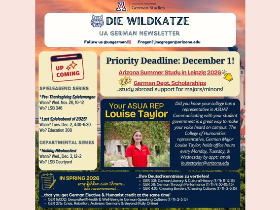 Wildkatze November 2025